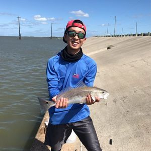 Meet your Posher, Anthony